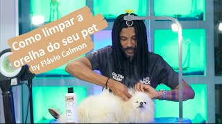 Como limpar o ouvido dos pets by Flávio Calmon [upl. by Aniraz842]