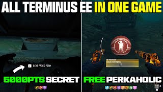 I did EVERY Terminus EE in a SINGLE GAME all EE explained  BO6 Zombies [upl. by Trab]