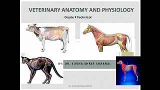 Chapter 1 Introduction to Veterinary Anatomy and Physiology grade9 technical [upl. by Alekehs972]