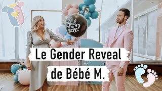 Le Gender Reveal de Bébé M [upl. by Eigriv]