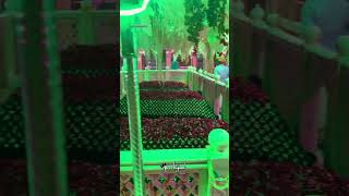 Mere Peer Ke Chehre Me Sarkar Nazar Aaye॥ Peer Ki Jaal Sanchore Dargah [upl. by Ettevey]