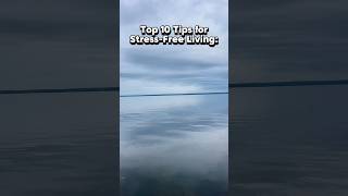 Top 10 Tips for StressFree Living Destress Your Life destress shorts [upl. by Livvy]