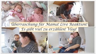 Live Reaction  Es gibt viel zu erzählen  Vlog  Reborn Baby Deutsch  Little Reborn Nursery [upl. by Louth40]