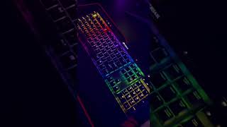 Unboxing Corsair K70 RGB MK 2 Low Profile Shorts [upl. by Martynne]