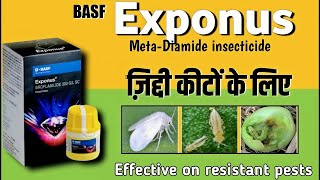 Basf exponus insecticide  Exponus basf insecticide  Exponus insecticide  Exponus [upl. by Lodge]