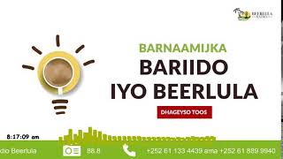 Barnaamijka Bariido iyo Beerlula ee Radio Beerlula 7112024ka Cabdinajiib Aweeys Isaaq [upl. by Darleen21]