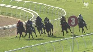 Heat 10  Doomben Jumpouts 150823 [upl. by Arriec386]