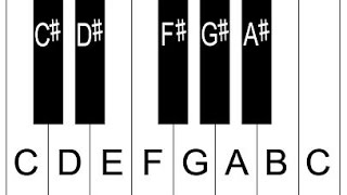 Piano Lesson 2 How To Label Piano Keys Part 2  Piano Keyboard Layout [upl. by Ahsenauq]