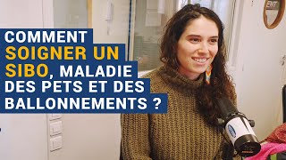 Dr AKA Félix NATUROTHERAPEUTE explique comment se SOIGNER en MANGEANT pour être en BONNE SANTE [upl. by Acirtal]