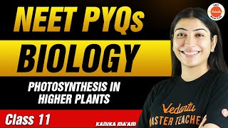 NEET PYQs for Photosynthesis in Higher Plants  Class 11 Biology  NEET 2024 [upl. by Balling40]