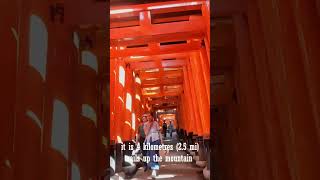 Exploring Fushimi Inaritaisha Kyoto’s Iconic Shrine amp Torii Gates [upl. by Arekat516]