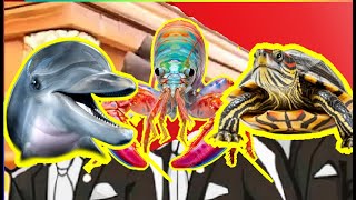 Dolphine Vs Crab Vs Turtle  Coffin Dance Meme Cover [upl. by Oicapot]