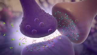 Glutamate Modulation  MOA Animation [upl. by Thisbe]