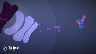 Bioproduction dun anticorps monoclonal [upl. by Pyle681]