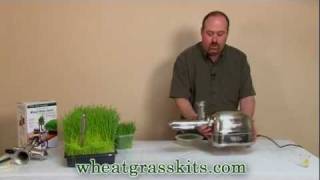 Harvesting amp Juicing Wheatgrass  Wheat Grass Juice [upl. by Sire]