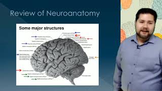 Neuropathology Lecture [upl. by Ender]