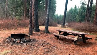 Campsites 6 5 4  BEST WALKIN CAMPSITES  Allen Springs Campground  Metolius River Oregon 4K [upl. by Alyahsal824]