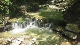 Day 1  Bear Cave Hollow with Waterfalls on the Buffalo National River [upl. by Levona]