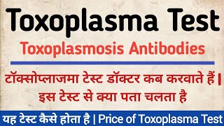 Toxoplasma टेस्ट क्या होता है  Toxoplasmosis test during Pregnancy [upl. by Adilem]