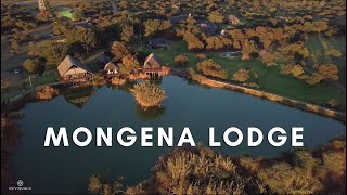 Mongena Lodge [upl. by Frydman]