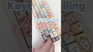 Satisfying keycap removal💕 asmr keycaps asmrkeyboard asmrsleep asmrtriggers kawaiisetup cute [upl. by Iv]