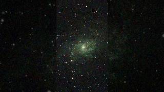 The Triangulum Galaxy through my telescope shorts space astronomy [upl. by Rodger]