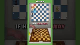 Learn the best stalemate tricks [upl. by Higginson620]