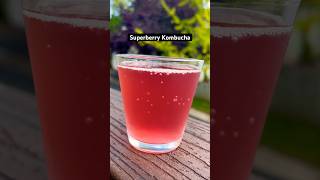 superberrykombuchatea fizzyicedtearasberry blueberryoolong teaguthealth refreshing [upl. by Ahsad819]