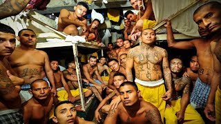 The Most Notorious Gangs in Prison  National Geographic Documentary 2019 [upl. by Kerry395]