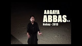 Aa Gaya Abbas ع  Nohay 2013  Syed Raza Abbas Zaidi [upl. by Mairam]