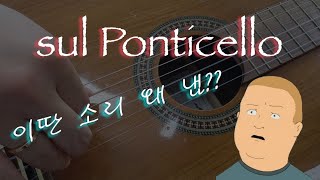 Sul Ponticello에 대한 모든것 쓰라는거야 말라는거야음향 상향 [upl. by Rezal968]