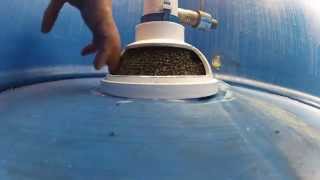 Best homemade aerationfiltrationcirculation system for bait tanks [upl. by Nolahp872]