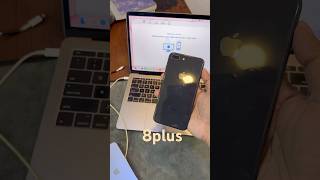 iPhone 8 Plus camera test 8 plus portrait camera iphone8plus smartphone apple iphoneshorts [upl. by Fayola]