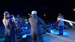 DON CARLOS amp Dub Vision quotJohnnie Big Mouthquot Live  OSTRÓDA REGGAE FESTIVAL 2013  Poland [upl. by Oxford]