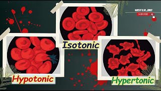 Isotonic Hypotonic and Hypertonic Solutions  Exploring Water Movement in Blood Cells 💧🔬 [upl. by Ailido97]