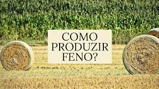 feno agricultura PRODUÇÃO DE FENO [upl. by Dragoon108]