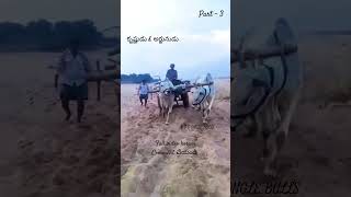 powerful Ongle Bulls  K D C ongle bullscow bull farming shortvideo subscribe [upl. by Akamaozu878]