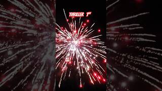 Thriller 7quot canister shell firework smackin pyroaddict [upl. by Lopez352]