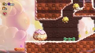 Petal Isles Special Way of the Goomba WR 133100 [upl. by Swehttam]