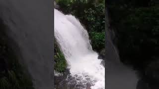 PAMPANMALAI WATER FALLS  TALAYAR VALLEY BUNGALOW [upl. by Conal]