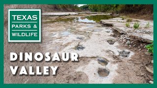 Dinosaur Valley State Park Texas [upl. by Licna]