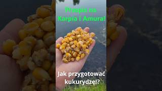 Kukurydza na Karpie i Amury Wędkarstwo Kapiowe Feeder wędkarstwo carpfishing methodfeeder [upl. by Bean684]