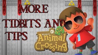 Tidbits amp Tips Animal Crossing New Leaf Villager House Placement Tanning and Fast PWP [upl. by Teak]