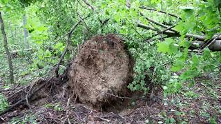 2018 Wisconsin Tornado Damage and Drone Footage  Cascade WI [upl. by Enomes891]