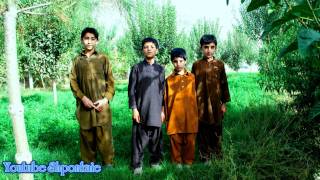 Afghan Pashto Attan song tribute to the Loya Paktia [upl. by Bonny205]