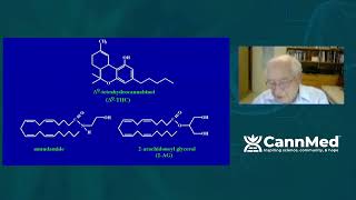 Endogenous Anandamide Like Compounds  Raphael Mechoulam PhD [upl. by Esyak108]