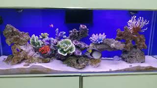 aquarium water change necessary or not in tamil [upl. by Sivartal]