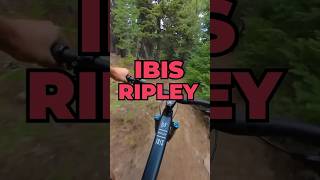 Ibis Ripley V5 First Ride mtb shorts [upl. by Reidar]