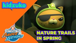 Octonauts Above amp Beyond  🐊 Nature Trails in Spring 🐾  Compilation  Kidzuko​ [upl. by Elleirbag]