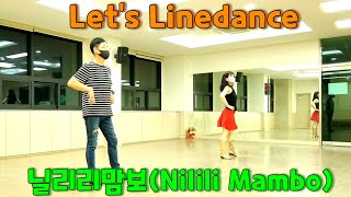 Ver I 닐리리맘보Nilili Mambo Linedance  Demo  Improver 초중급 라인댄스  안무이준재 [upl. by Ennasirk]